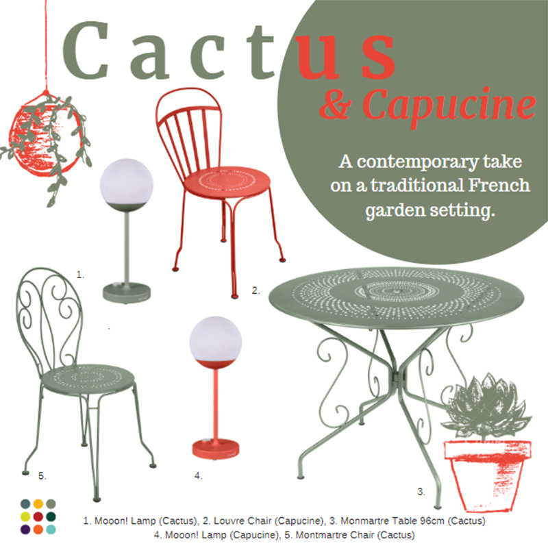 Cactus Capucine Combination
