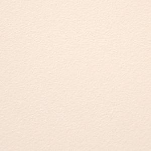 Colour Swatch in Linen