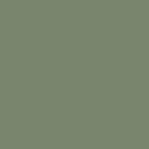 Colour Swatch in Willow Green