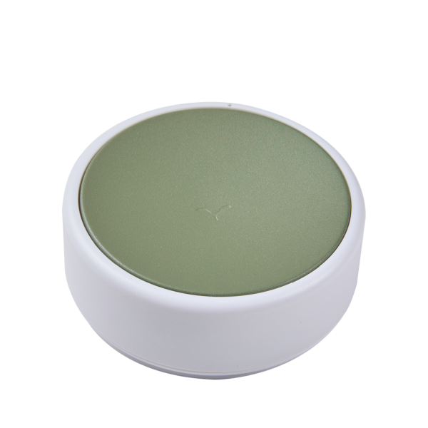 Ludo Bluetooth Outdoor Smart Switch By Fermob in Cactus