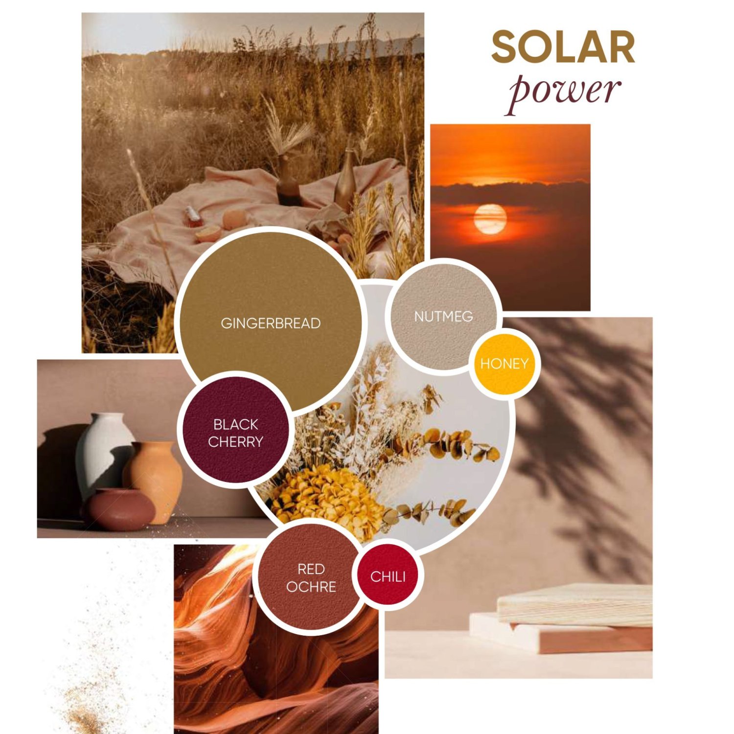 Fresh Colour Palettes for Summer | Jardin NZ